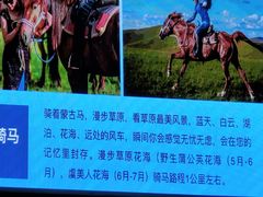 -塞罕坝国家级自然保护区