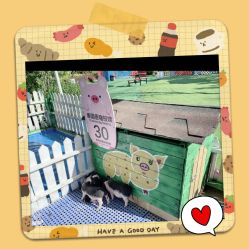 -萌宠亲子动物乐园(槐房万达店)