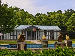 -上海海湾国家森林公园