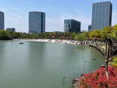 -大宁公园