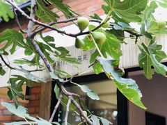 -boundaries籬苑(瑞光创意工厂-贰号院店)