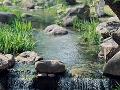 -新洲生态园