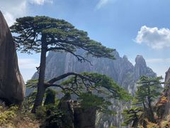 -黄山风景区