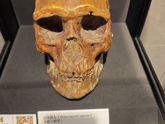 -北京周口店北京人遗址博物馆