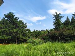 -玲珑塔公园