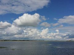 -呼兰河口湿地公园
