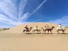 -银肯塔拉沙漠生态旅游景区