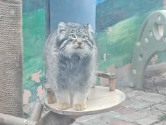 -青藏高原野生动物园