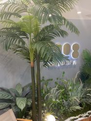 -八佰伴8008星级形象店