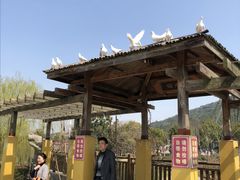 -无锡动物园·太湖欢乐园