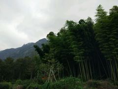-莲峰云海景区