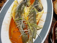 -前海沿·青岛菜(五四广场永旺店)