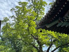 -潭柘寺景区