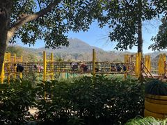 -杭州少年儿童公园