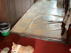 -派特宠物医院(圆融广场店)