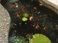 -映像威海·海鲜味道(市区店)