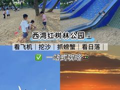 -宝安西湾红树林湿地公园