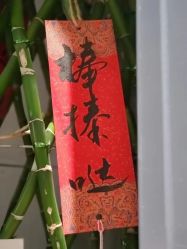 -卡莫瑜伽·普拉提