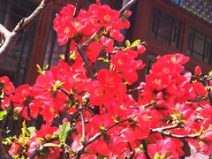 -陶然亭公园