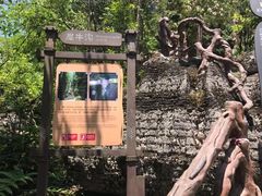 -梭布垭石林景区