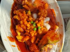 -泰康之家·申园