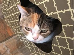 -隅cafe(傅厚岗店)