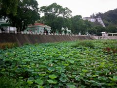 -龙环葡韵住宅式博物馆