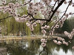 -满都海公园