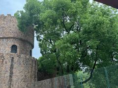 -J Create城市露营咖啡·简餐·宠物(上海动物园店)