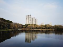 -高子水居