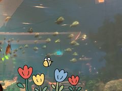 -涛·海底餐厅·美人鱼·自助餐·海底隧道(三亚海棠湾洲际度假酒店)