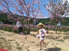 -东海半边山旅游度假区