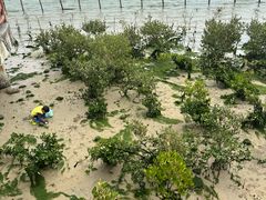 -霞山观海长廊