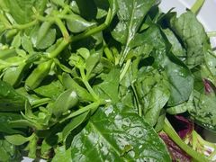 -黔诚多彩火锅(甲秀楼店)
