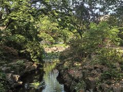 -上海醉白池公园