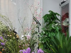 -100家灵感仓库·DIY团建(什刹海店)