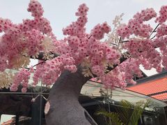 -开元盛世广场(新华北路店)