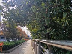 -艾溪湖湿地公园