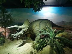 -国家自然博物馆