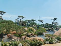 -罗红摄影艺术馆