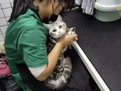 -瑞派宠物医院·犬猫全科·猫友好(宾水西道店)