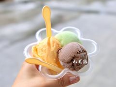 -成裕雪糕店(士多店)