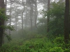 景点-罗田薄刀峰风景区