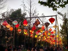 -洋湖国家湿地公园