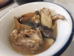 -蘑统田下·野生菌火锅