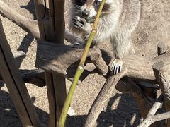 -齐齐哈尔龙沙动植物园