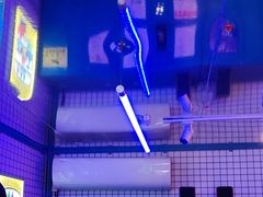 -移动谜城·大笨象密室逃脱(五棵松店)