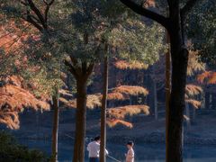 -贡湖湾湿地公园