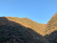 -黑河国家森林公园