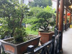 -猪肉婆私房菜(容桂总店)